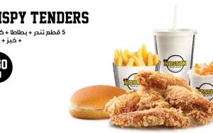 CRISPY TENDERS